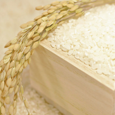 信玄米のイメージ