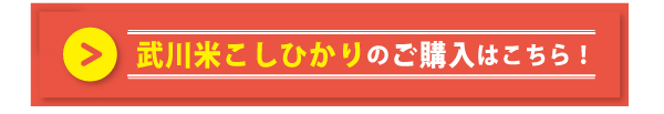 武川米こしひかり