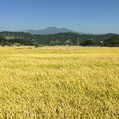 武川地域の田園風景