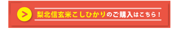 梨北信玄米こしひかり