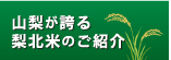 梨北米について