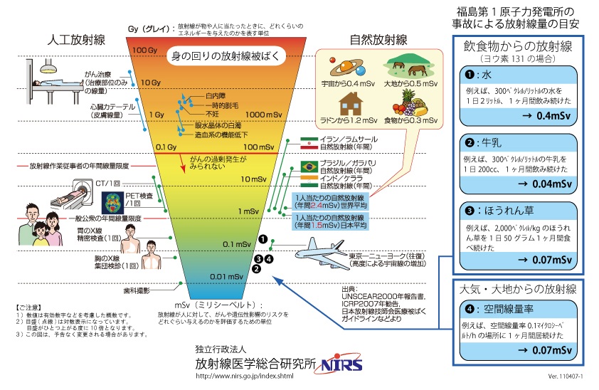 精米・無洗米のイメージ